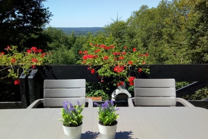 Ardennen chalet Beffe - TUIN